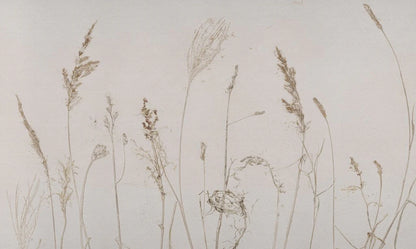 Tapet Campo di Avena