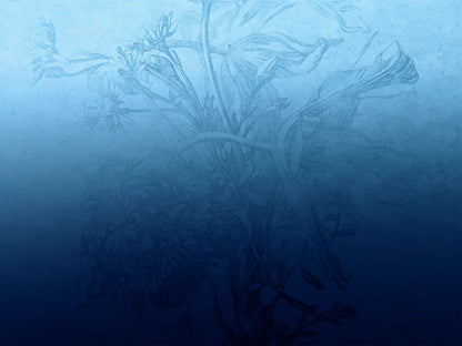 Tapet på rull Blue ombre flower