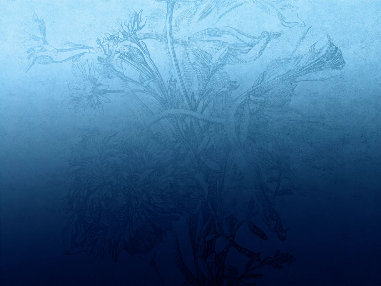 Tapet Blue Ombre Flower